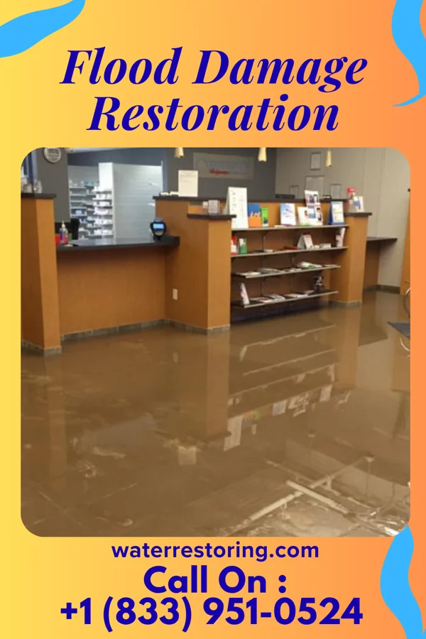 Flood Damage Restoration in Chrisney, IN